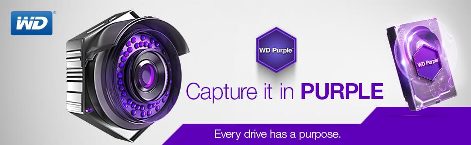 Western Digital Purple - Ổ cứng HDD WD tím - Tin học Đại Việt