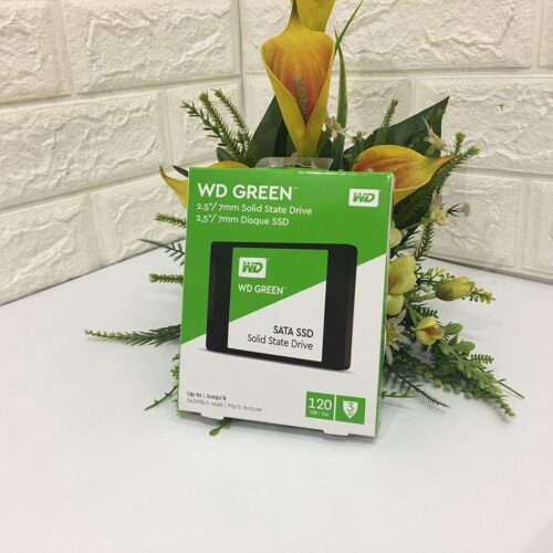 SSD Western Digital 240 GB Green Tin hoc Dai Viet 2