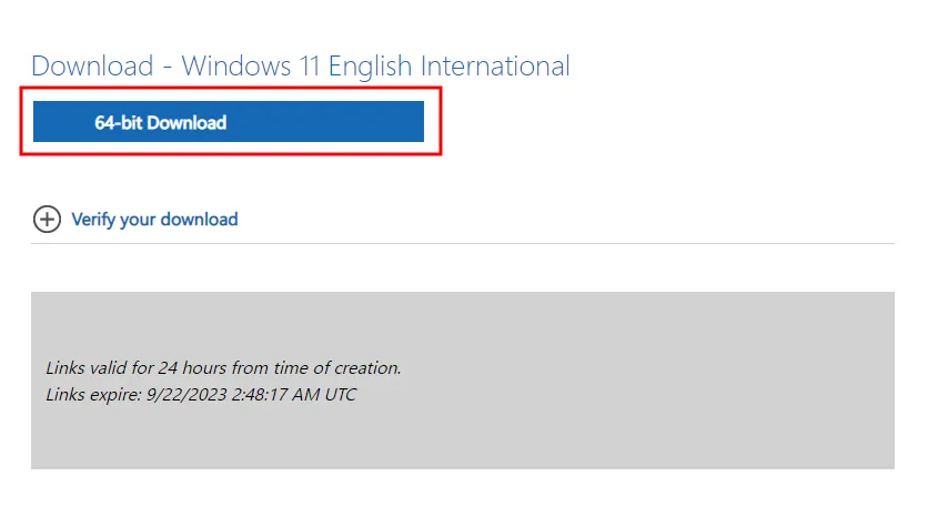 Huong Dan Tai Windows 11 File Iso Tu Microsoft Va Tao USB Boot Windows 11 4