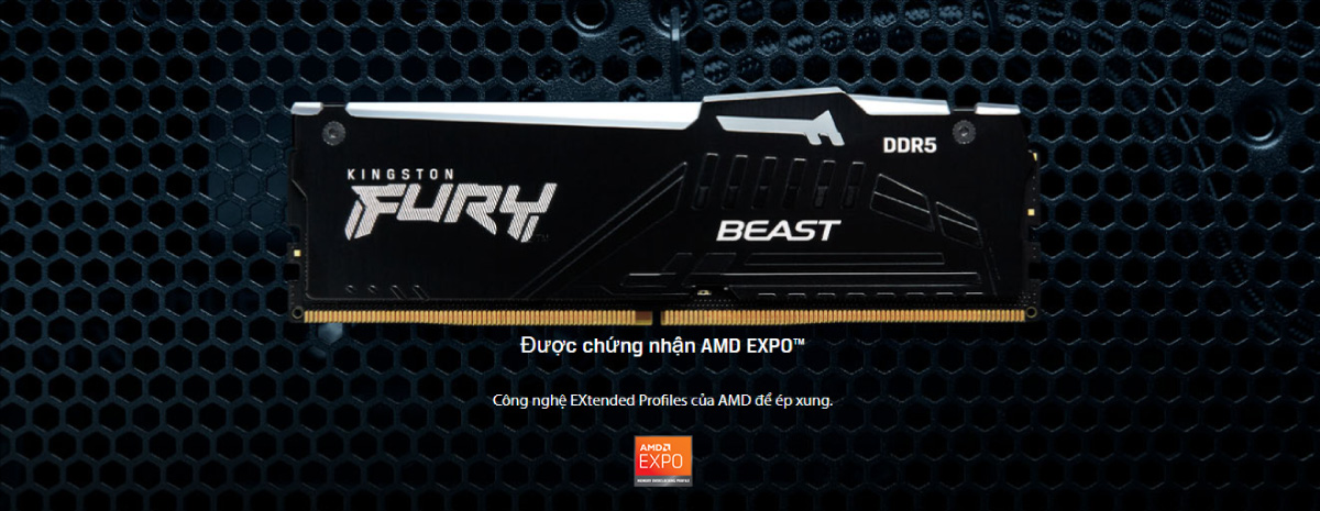 Ram DDR5 Kingston Fury Beast RGB EXPO 16GB 5200 MHz 5