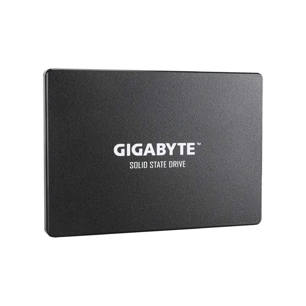 SSD GIGABYTE 256GB Sata 3 Chinh Hang GP GSTFS31256GTND 6